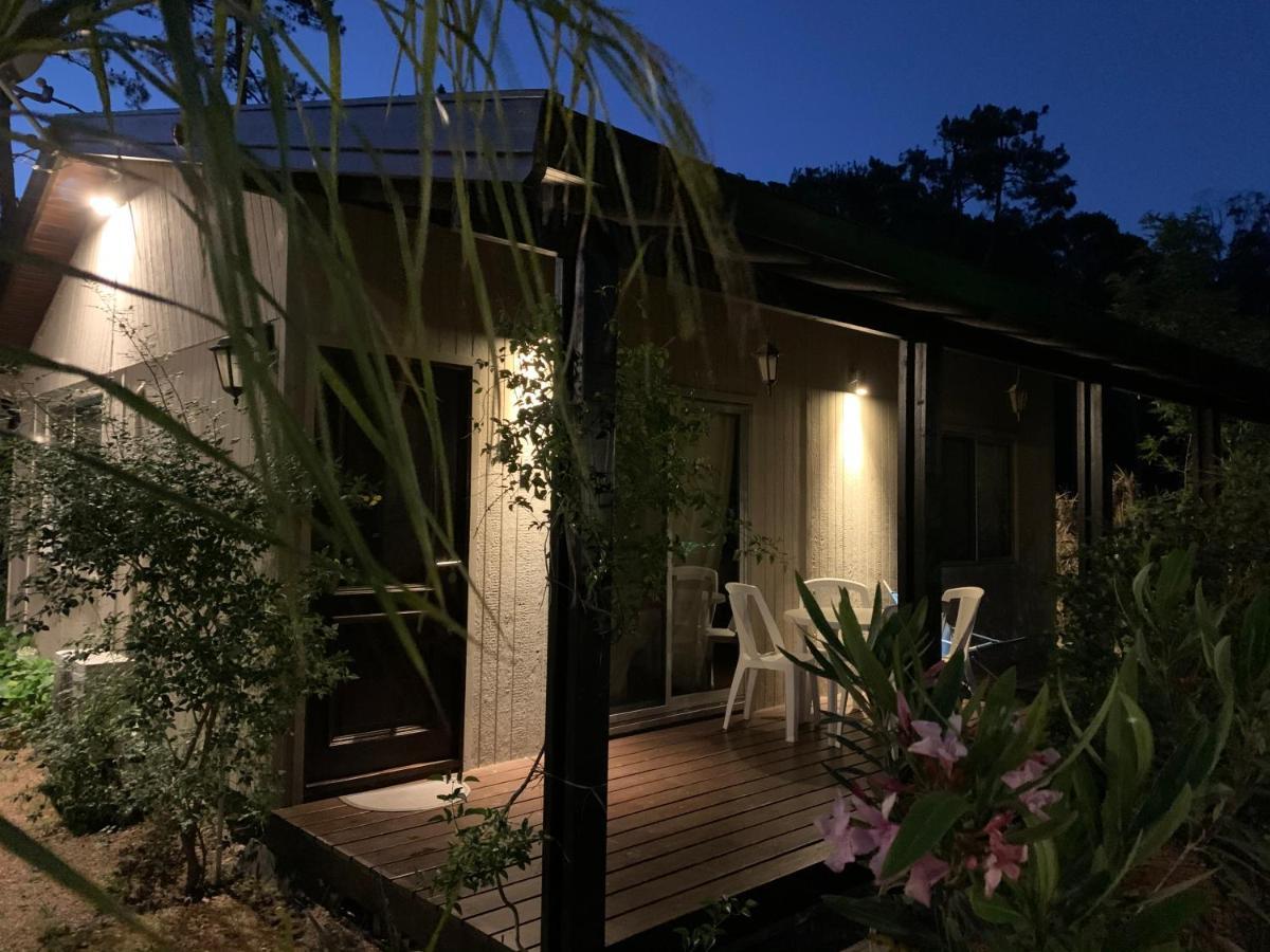 Cabanas Del Este เซาเซ เด ปอร์เตซวยโล ภายนอก รูปภาพ