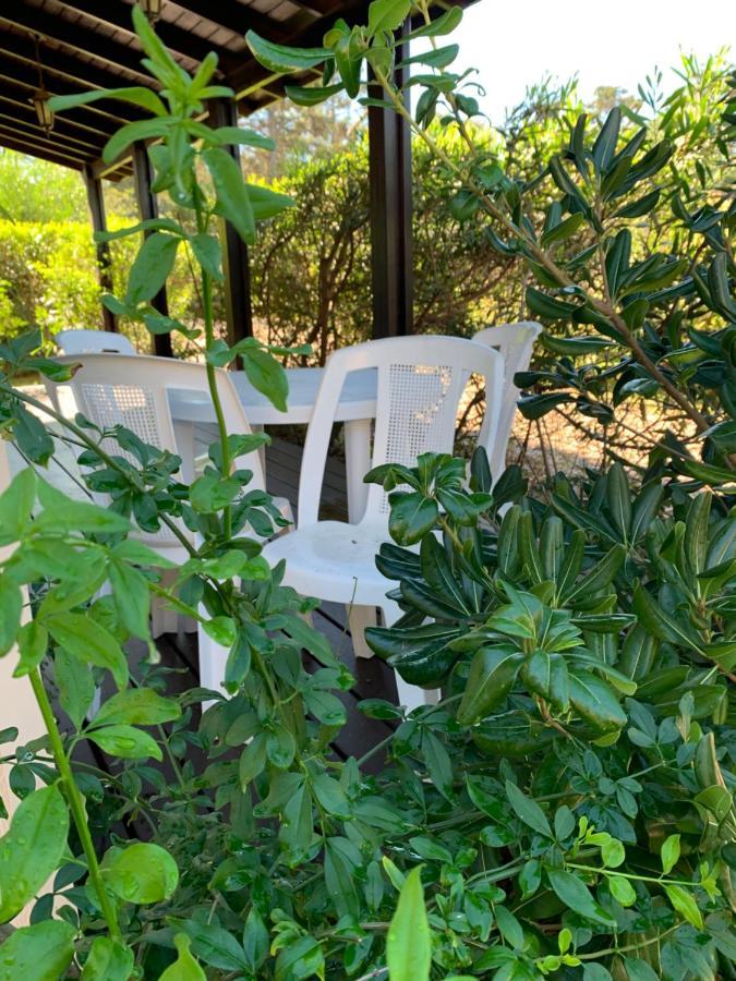Cabanas Del Este เซาเซ เด ปอร์เตซวยโล ภายนอก รูปภาพ