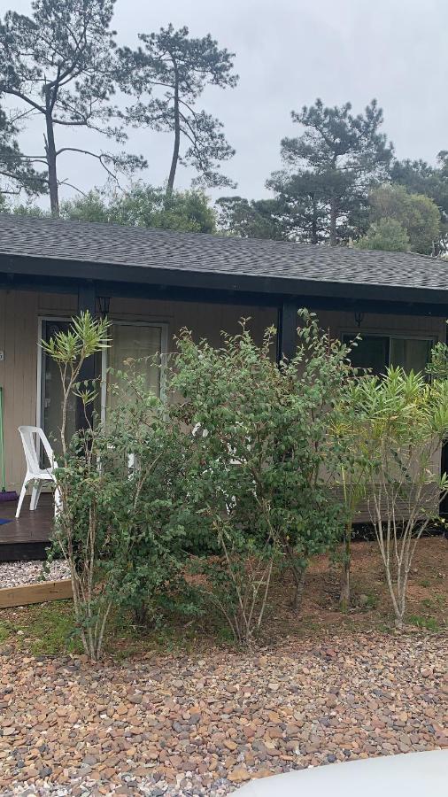 Cabanas Del Este เซาเซ เด ปอร์เตซวยโล ภายนอก รูปภาพ