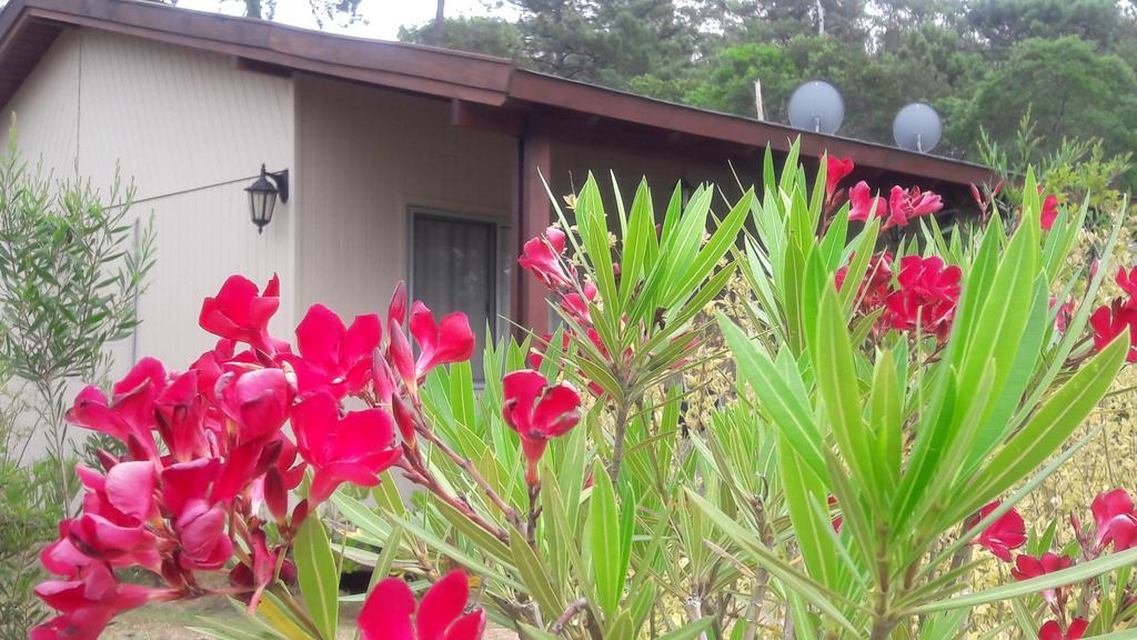Cabanas Del Este เซาเซ เด ปอร์เตซวยโล ภายนอก รูปภาพ