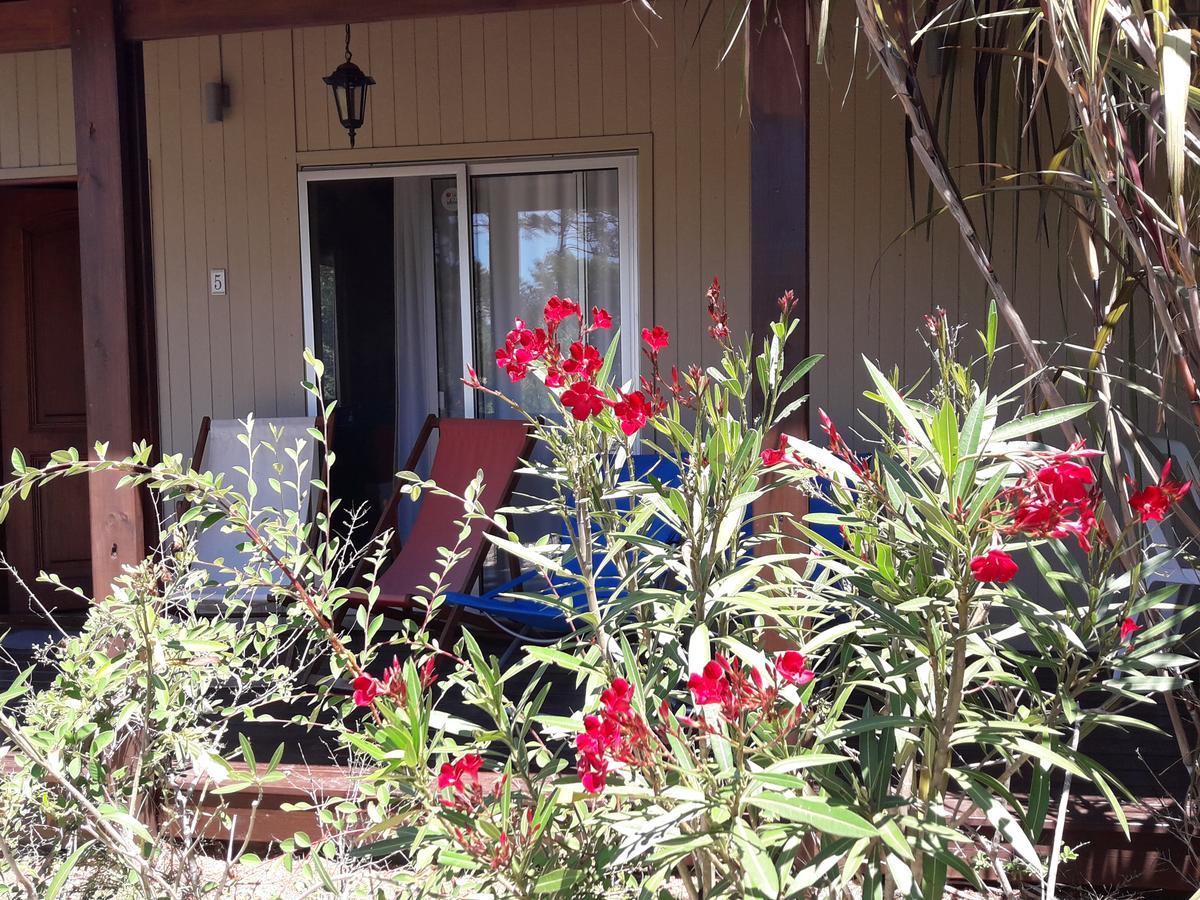 Cabanas Del Este เซาเซ เด ปอร์เตซวยโล ภายนอก รูปภาพ